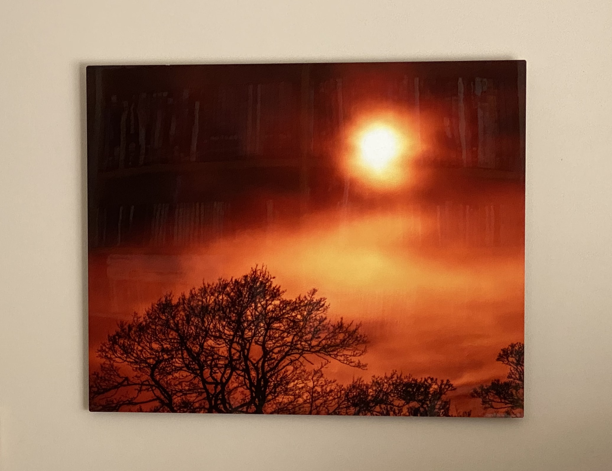 A glossy photo of a red sun over a tree's silhouette. The photo is hung on a light-coloured wall.